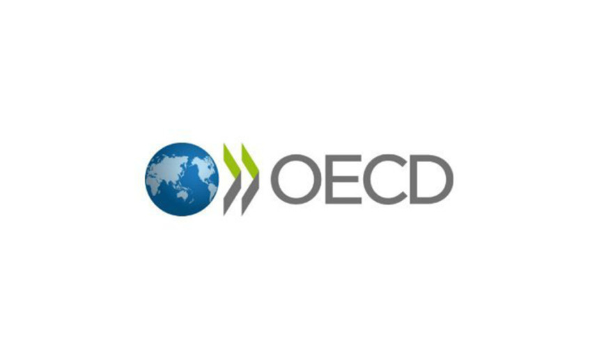 OECD’den Türkiye ve Dünya için Büyüme Tahmini
